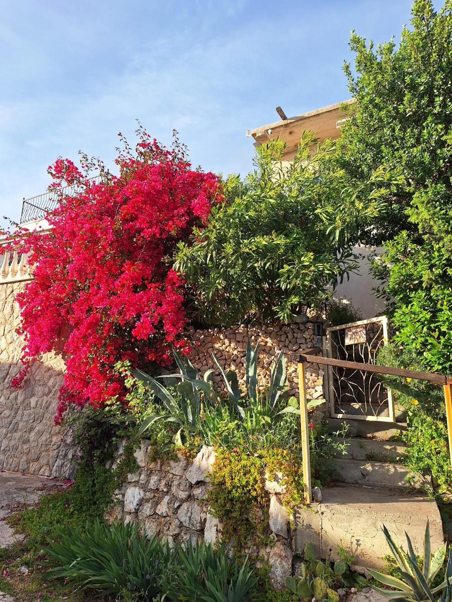 Sunnyday House Villa Masline Exterior foto